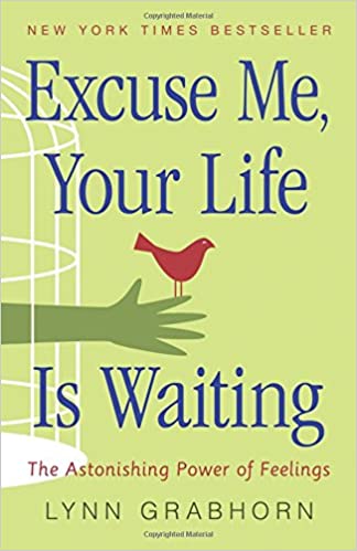 Excuse Me, Your Life Is Waiting - The Astonishing Power of Feelings